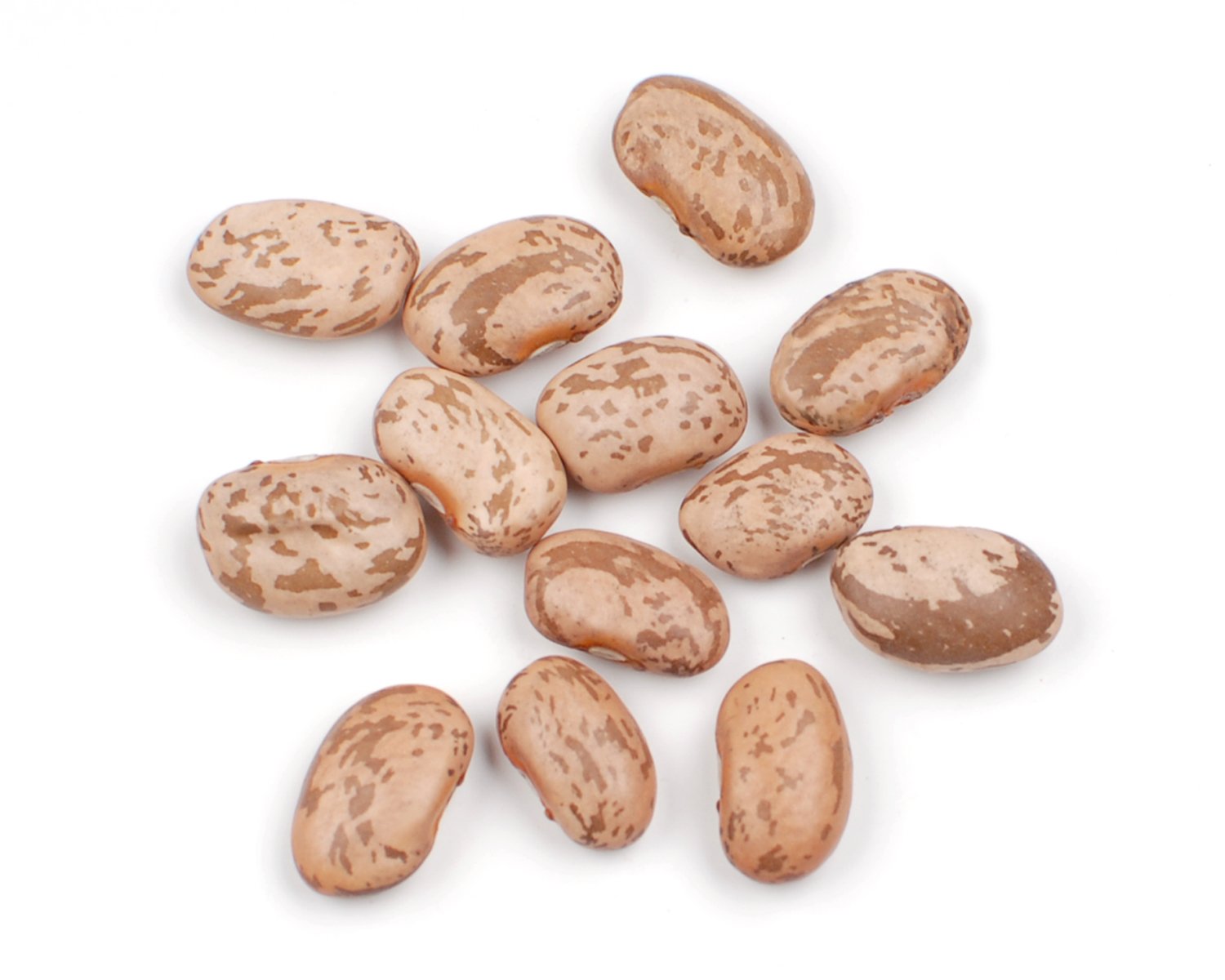 Beans Pinto