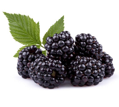 Berry Blackberry