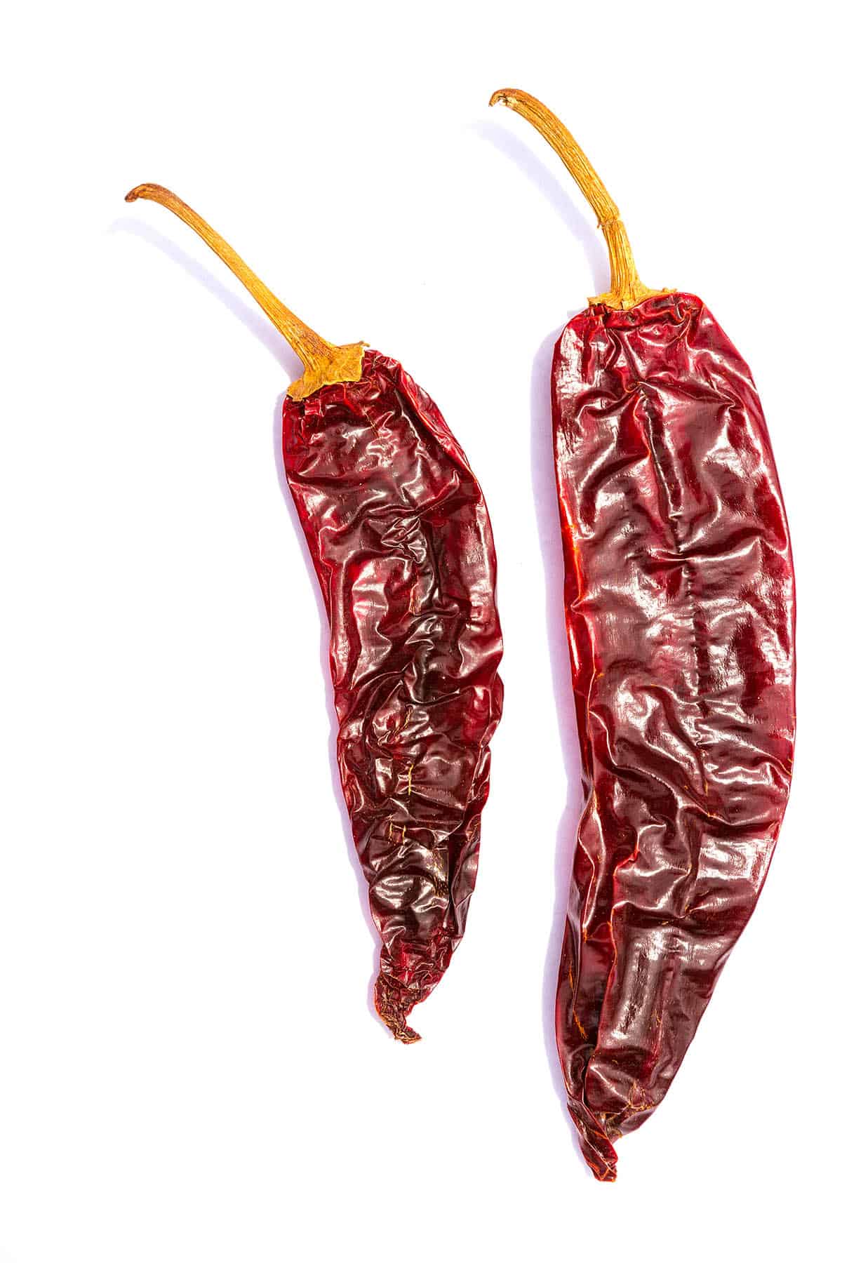 Pepper Puya 20#
