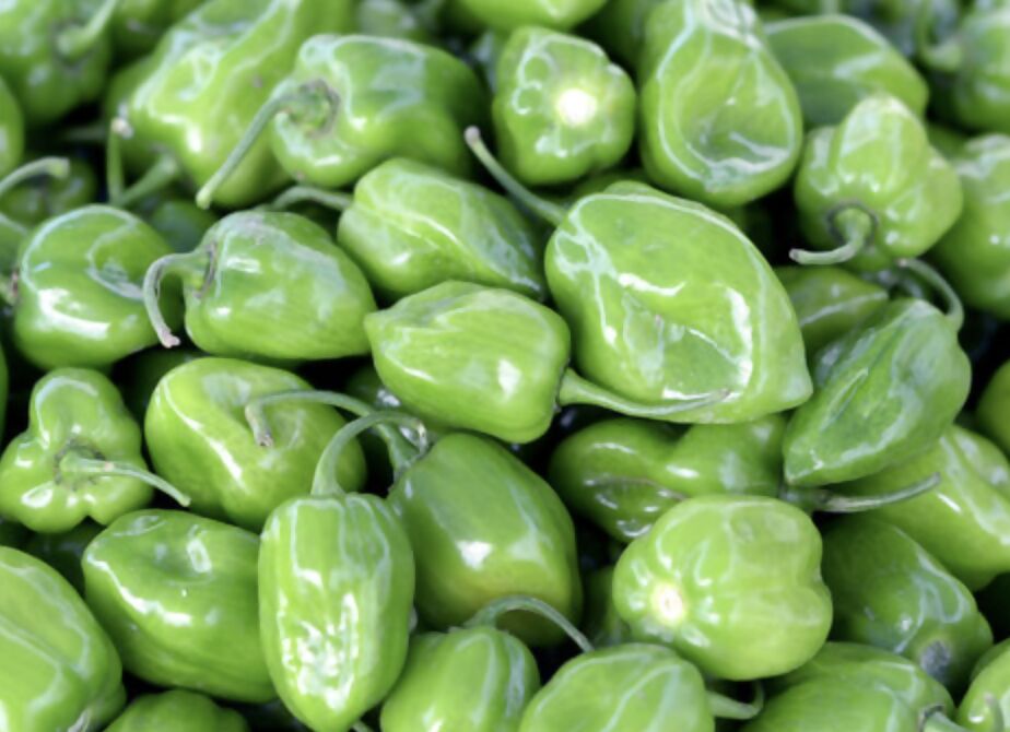 Green Habanero(1)