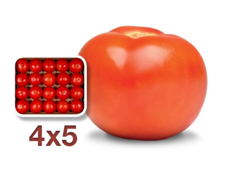 Tomato 4X5 2 Layer