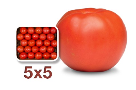 Tomato 5X5 2 Layer