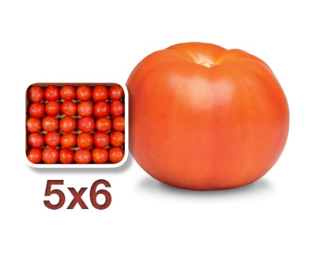 Tomato 5X6 2 Layer