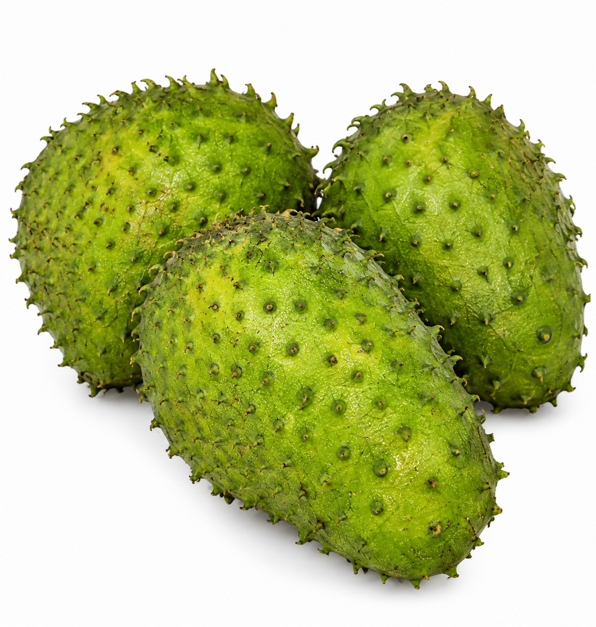 Soursop