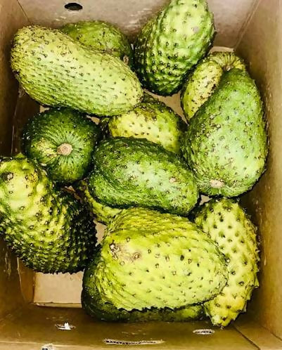 Soursop