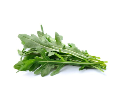 Arugula 4#