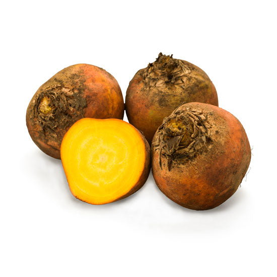Beets GOLDEN