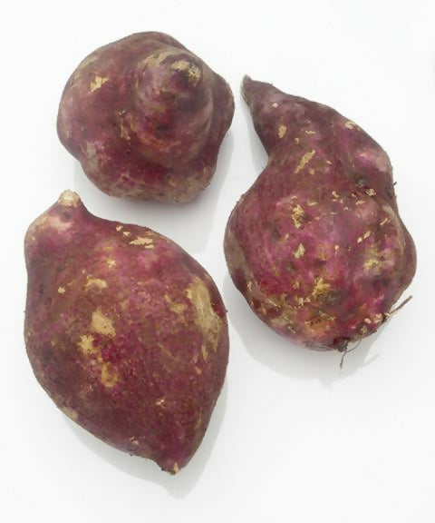 African Sweet Potato