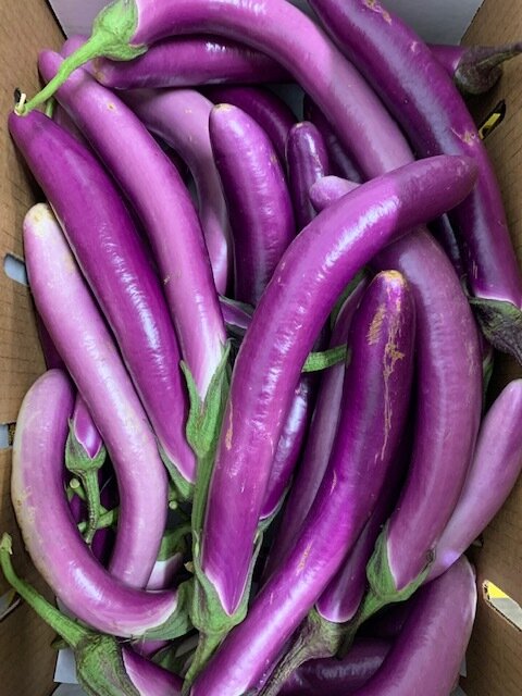 Eggplant