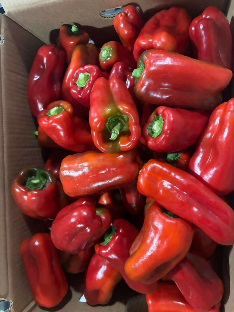 Red Bell Pepper(4)