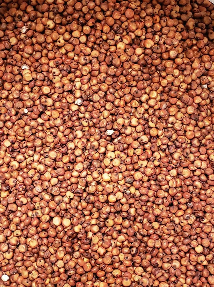 Sorgum Fermented