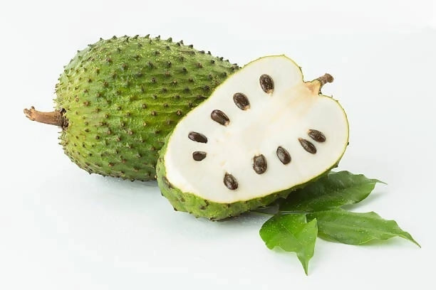 One Large Soursop