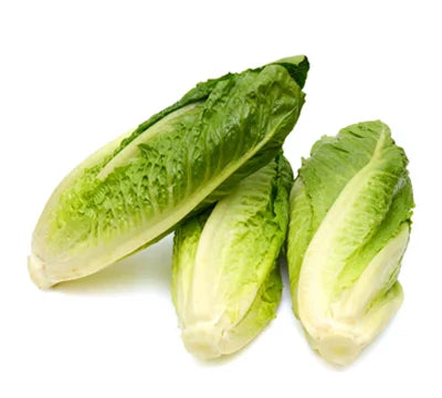 Lettuce Romaine USA