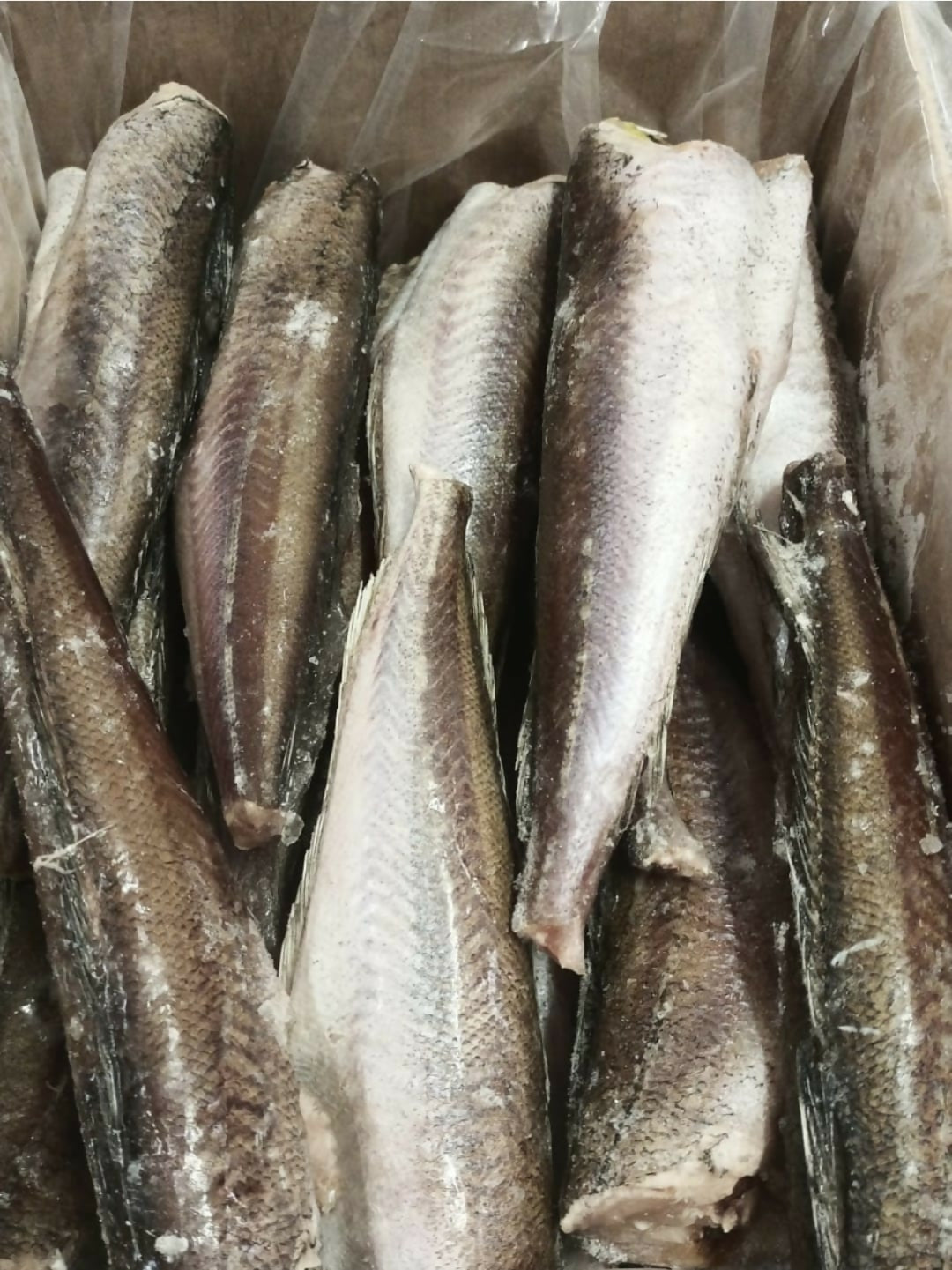 Uncut Whiting Fish(5)