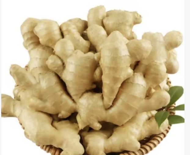 Ginger