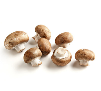 Mushroom Cremini