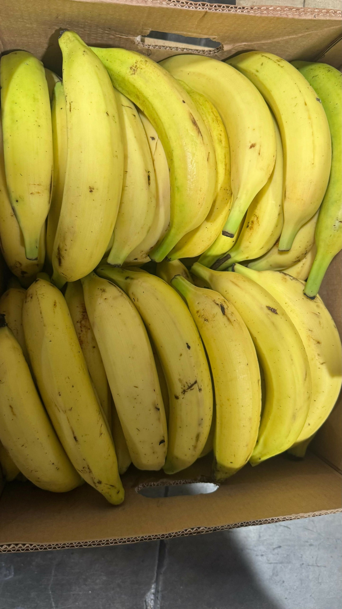 RIPE PLANTAIN