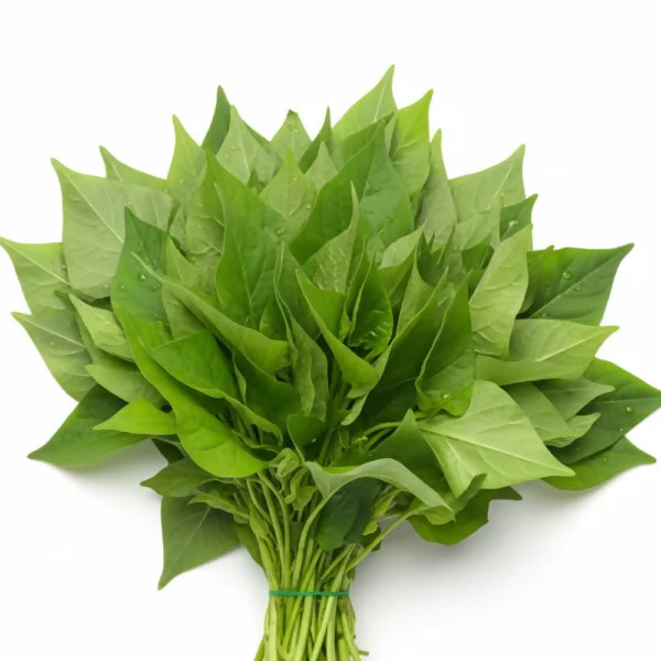 Fresh Bitter Leaves