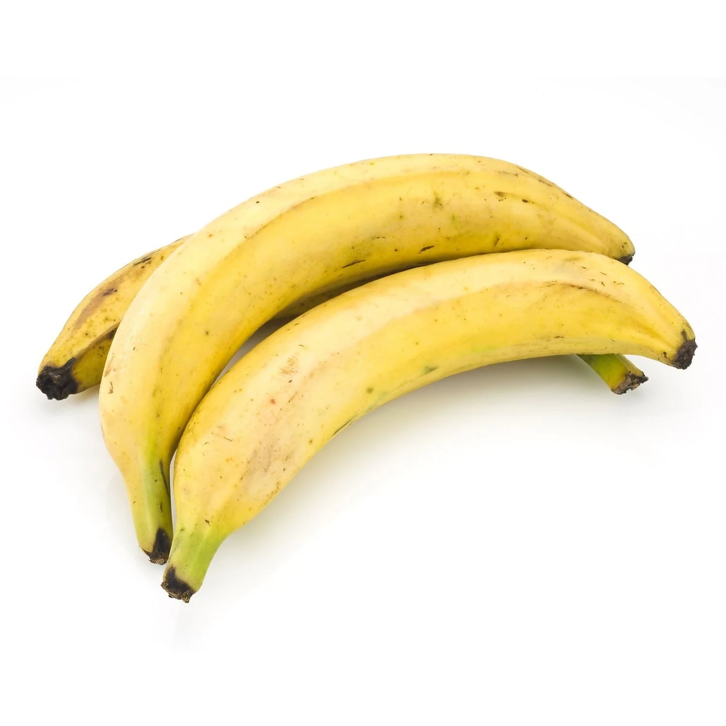 Plantain Box