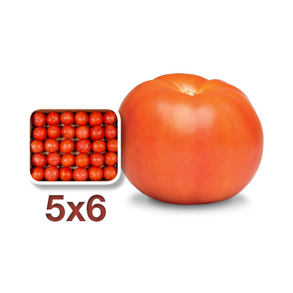 Tomato Round 5x6 2L