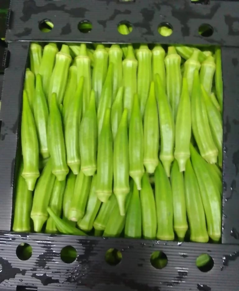 Fresh Okra