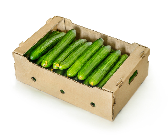 Cucumber Select