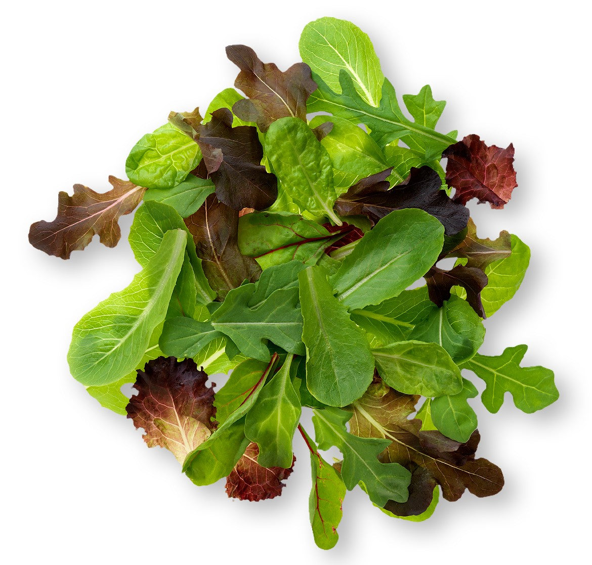 Spring Mix 3#