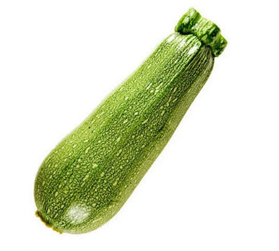 Squash Calabacita MED