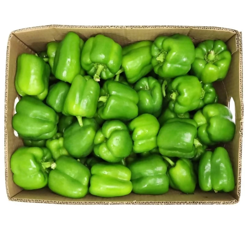 Green Bell Pepper