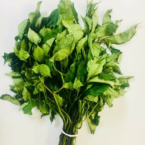 Fresh-Ugwu