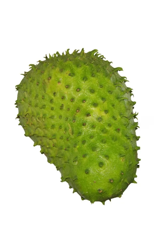 Soursop