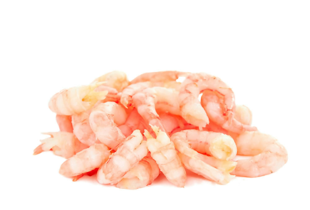 Argentine Red Shrimp