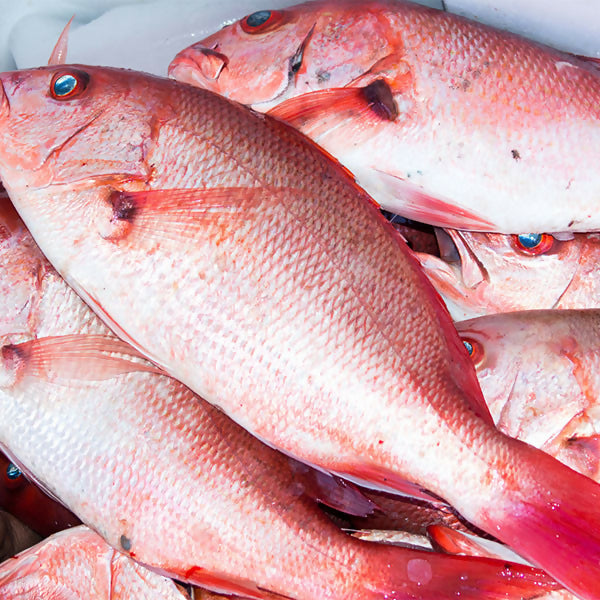 Red Snapper Scaled & Gutted  3:4 lb